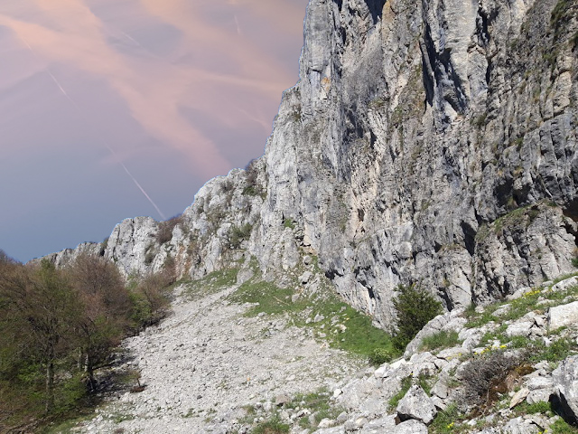 Foto PUESTA BUZÓN - Comida